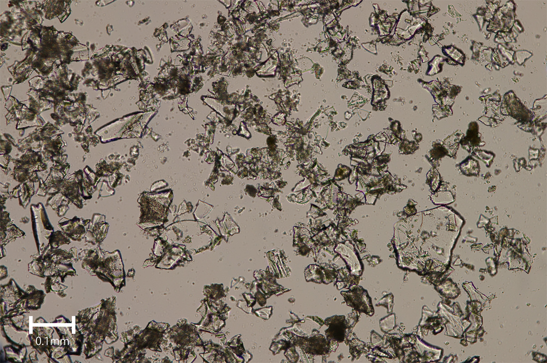 火山灰層の顕微鏡写真（スケールは0．1�o）