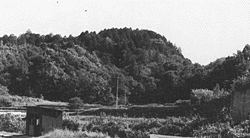大河内城遠望（北西方向から、平成7年10月撮影）