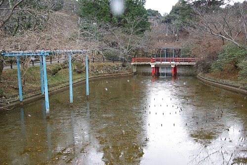 氷の張った偕楽公園の池に降る雪
