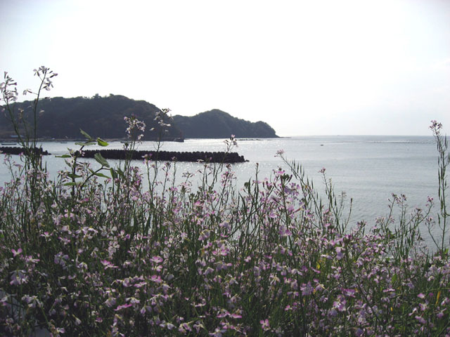 三重県 環境総合 投稿写真詳細 三重県 環境総合 投稿写真詳細