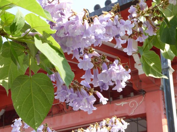 三重県 環境総合 投稿写真詳細