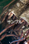 サンプル３