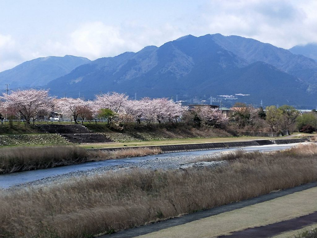 菰野大橋（春）